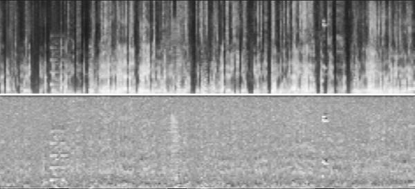 Figure 2.3.2.2.3: Comparison of a normal spectrogram (top) and a saliency-maximised spectrogram (bottom), from Lin et al. (2013). Republished with permission.